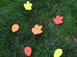 Alphabet Leaf Collecting from Growing Book by Book