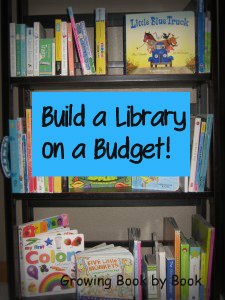Ideas for creating a library with a limited budget.