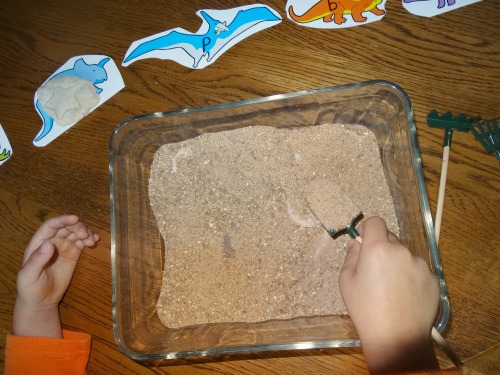 digging for fossils dinosaur activity