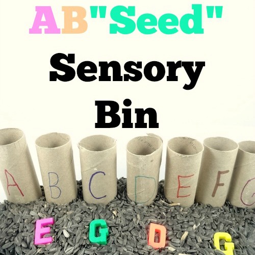 ABSeed Sensory Bin
