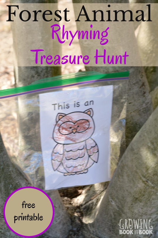 Get ready for a lively gross motor rhyming treasure hunt full of forest animals. Includes a free printable of animal cards and treasure hunt clues.