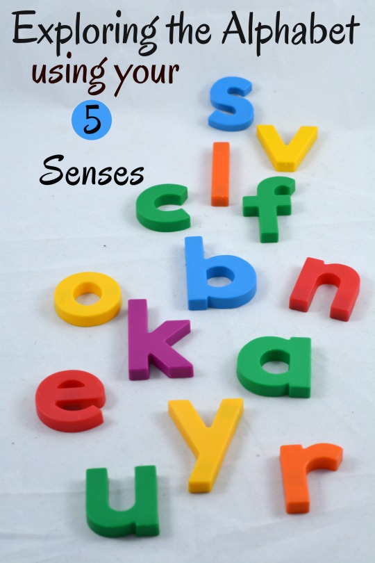 Learn the alphabet by exploring with your 5 senses. Fun hands-on alphabet activities that use magnetic letters and your sense of sight, sound, touch, smell and taste.