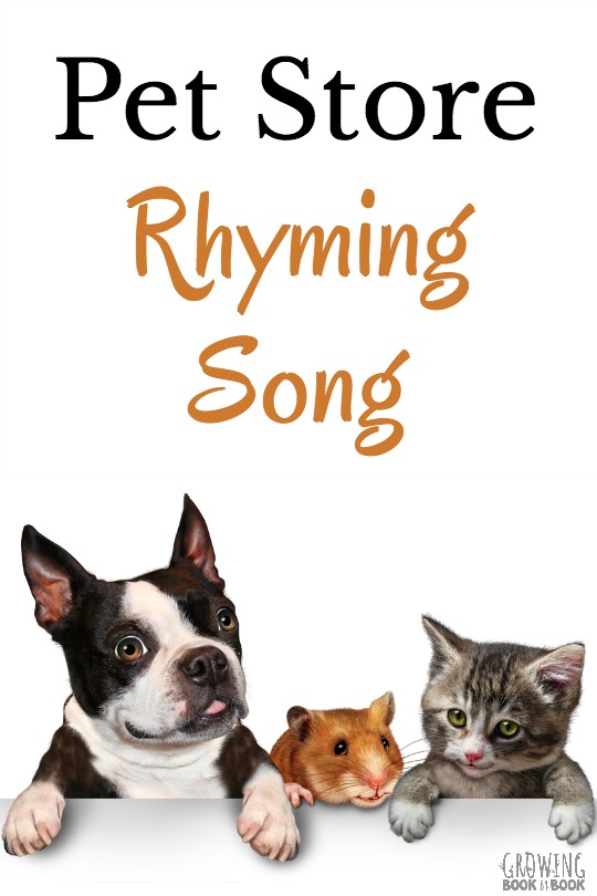 This pet store rhyming song is a wonderful way to work on building phonological awareness. It's great for preschool and kindergarten.