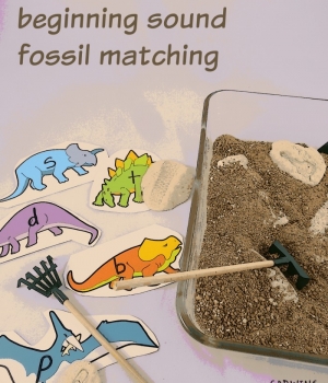 A fun fossil dig and alphabet sorting dinosaur activity from growingbookbybook.com