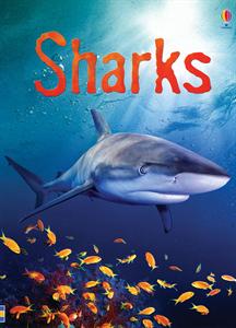 shark books