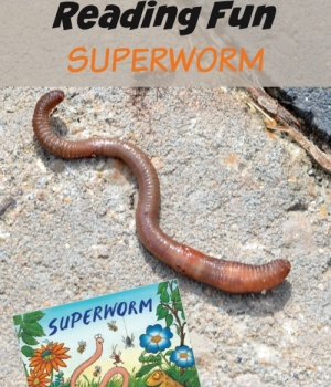 It's summer reading the superhero way! Read Superworm by Julia Donaldson and then try one of the literacy, science or cooking activities for kids!