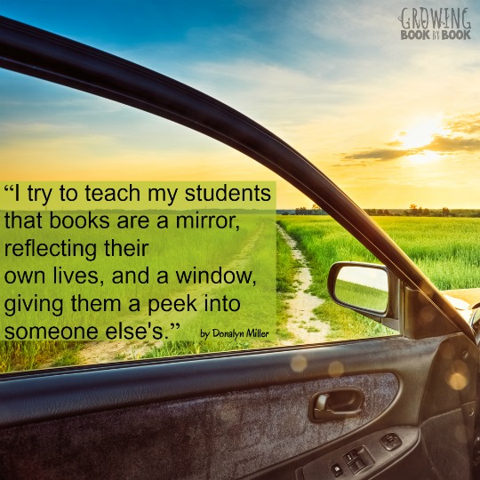 Quote by Donalyn Miller about reading being like a mirror and window.