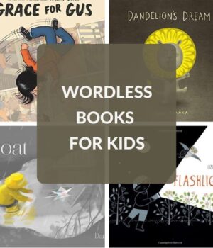 wordless picture books for children