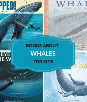 children's stories about whales