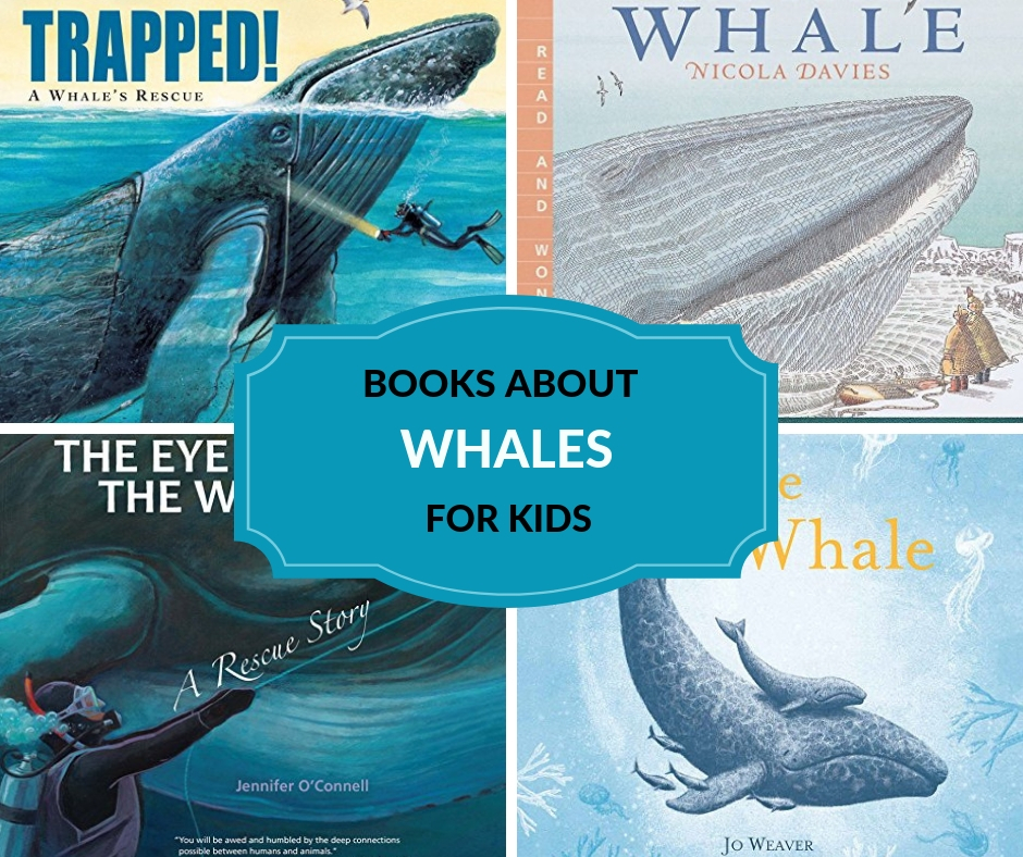 children's stories about whales 