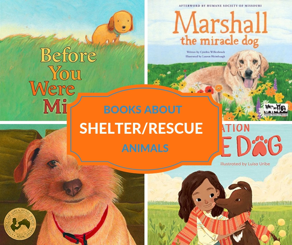 Inspiring Rescue and Animal Shelter Books for Kids