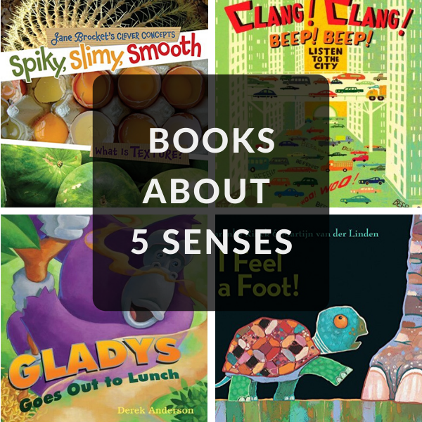 books about sight, sound, touch, smell, taste, and sound for kids
