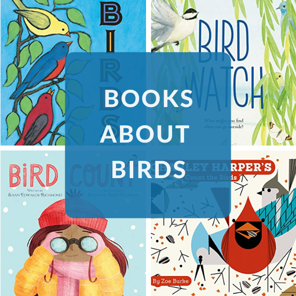 bird books for preschoolers, toddlers, and beginning readers