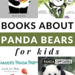 panda books for kids