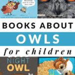 books about owls for kids