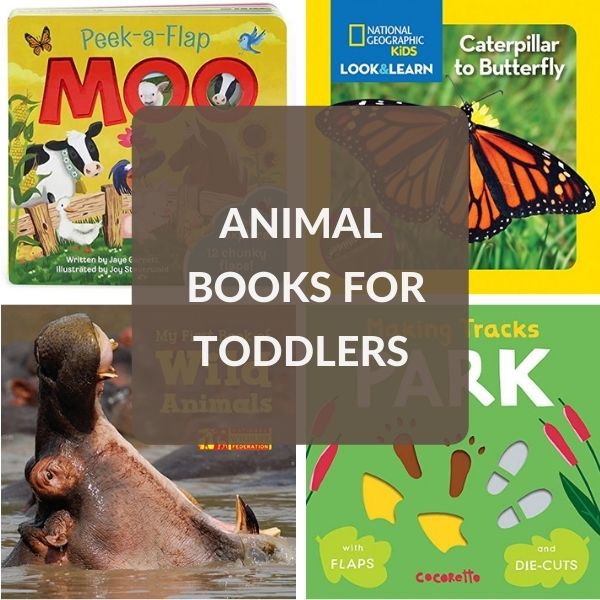 Toddler Books About Animals - Growing Book by Book