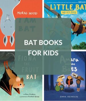 KIDS BOOKS ABOUT BATS