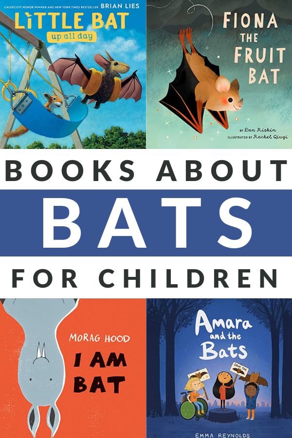 BAT BOOKS FOR CHILDREN