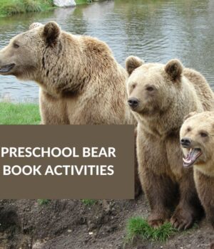 bear unit for preschool